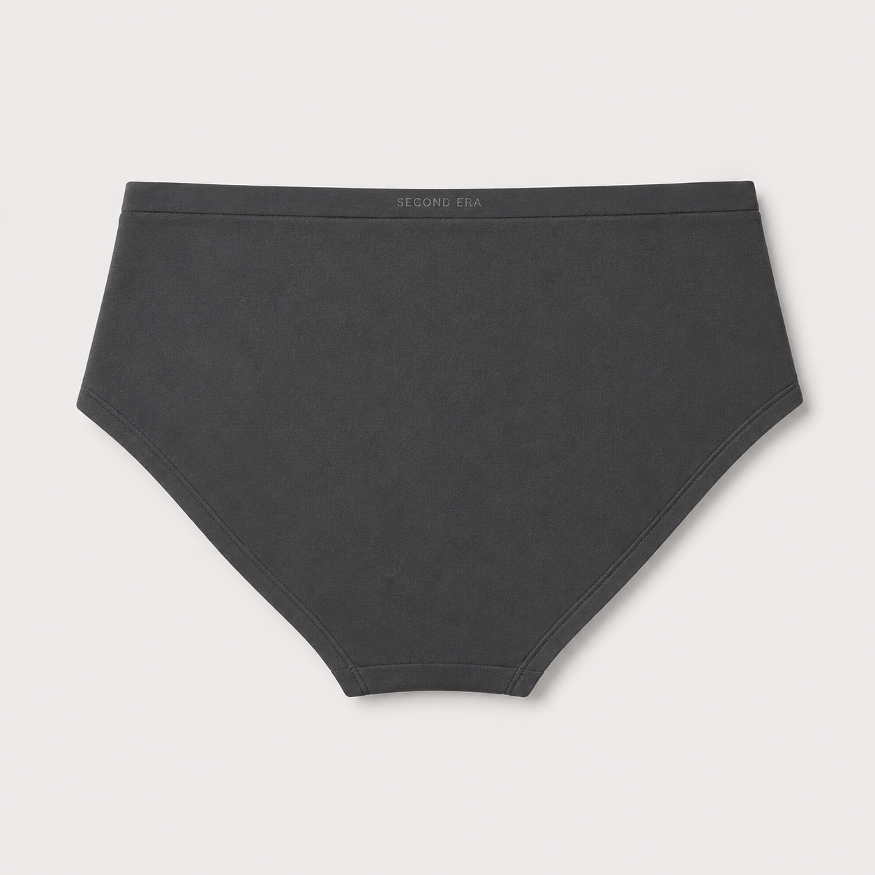 Secure brief flat lay, back view
